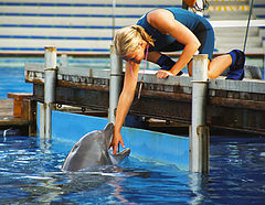 фото "Friendship"
