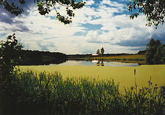 photo "Viev on river Talitci"