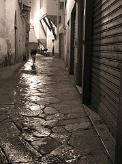 photo "Firenze. Rain."