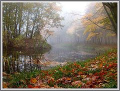 photo "Autumn etude"