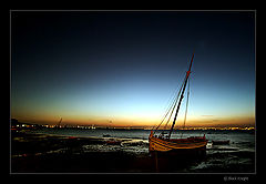 photo "Twilight Zone"