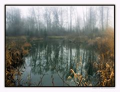 фото "Утро... туманное...-3"