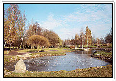 photo "Autumnal mildness"