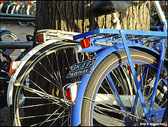 photo "Bicycle parking!!"