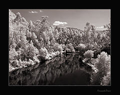 photo "Lagoon"
