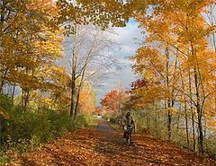 photo "Cycle of Beauty"