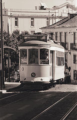 photo "untitled"