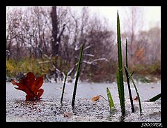 photo "*****"