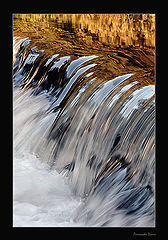 фото "Stream"