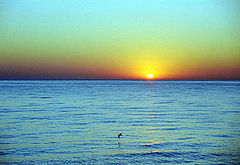 photo "Eternal theme"