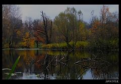photo "***"