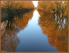 фото "Рыжие берега."