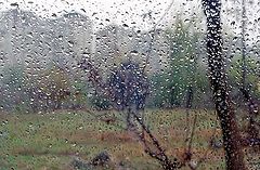 photo "Rain. A sight from within (1)"