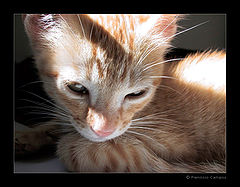 фото "(no title)"