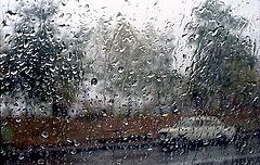 photo "Rain. A sight from within (2)"