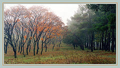 фото "vis-a-vis"