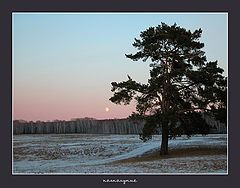 фото "полнолуние"