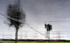 photo "Rain abstracts... (1)"