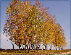 фото "Последний наряд"