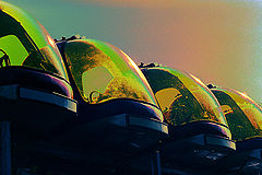 фото "insectoid 3-c"