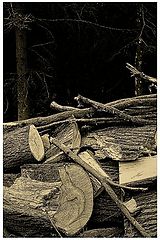 photo "woodcut"