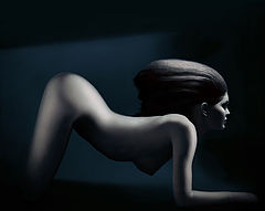 photo "Sphynx"