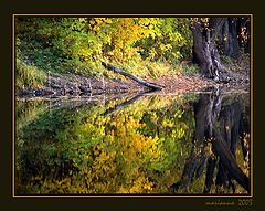 фото "краски"