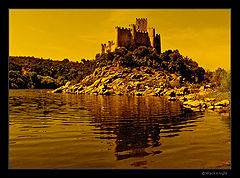 photo "Golden Days"