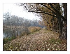 photo "Mid Of November"
