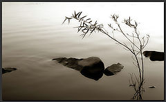 photo "emtyness"