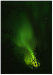 photo "Aurora borealis"