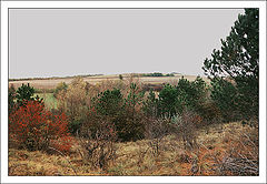 фото "Приметы осени - 2"