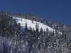 фото "Downhill Winter"