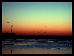 фото "nice day"