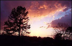 photo "Ethereal Evening"