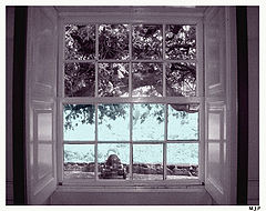 photo "A window to the world"
