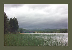 photo "Untitled photo"