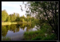 photo "***"