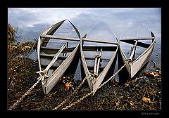photo "Prisoners of the River"