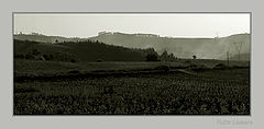 фото "Late in the afternoon"