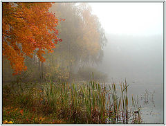 photo "Autumn a semitone 2"