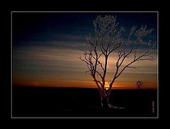 photo "Loneliness"