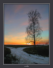 фото "ноябрь"