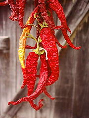 photo "Red hot chili papers"