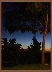 фото "Закат с Венерой"