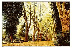 photo "parkway"