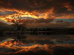 photo "Sunset In November"
