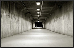 photo "Even if is alone..."