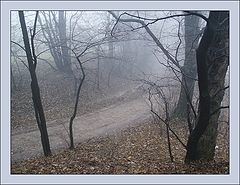 photo "Waiting For The Winter"