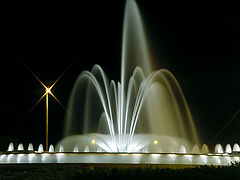 фото "Luminous"